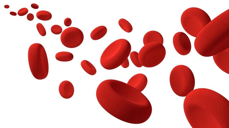 Hematologia