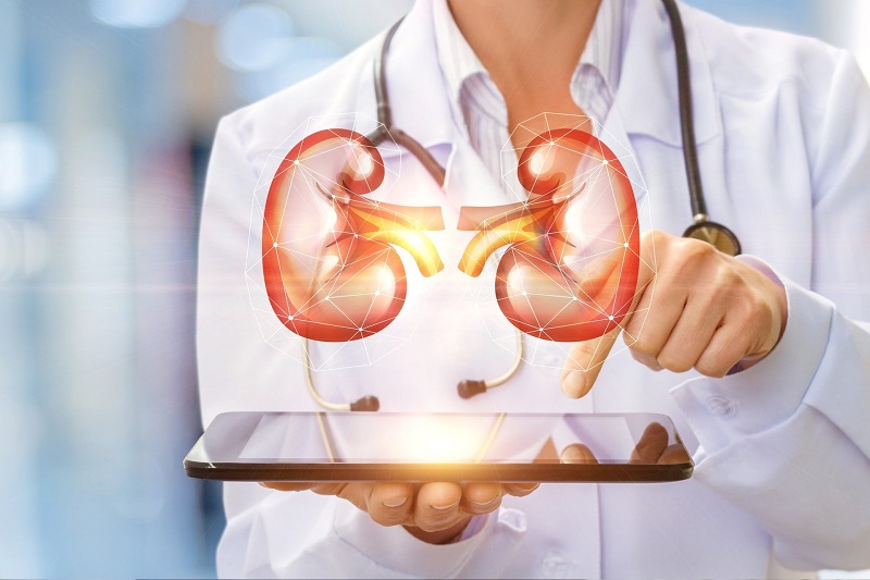 Urologia